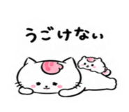 842971666