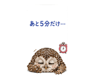 842972602