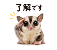 842972894