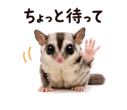 842972897
