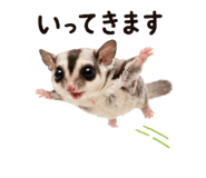 842972898
