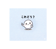 842973018