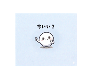 842973019
