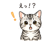 842973125