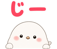842973258