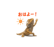 842973305