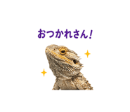842973307
