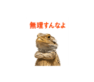 842973309