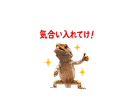 842973310