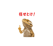 842973317