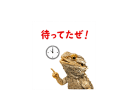 842973326