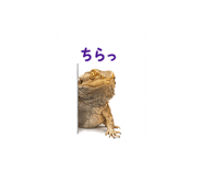 842973327