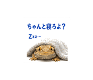 842973329
