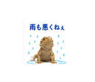 842973332