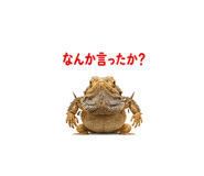 842973342