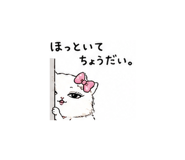 842973632