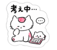 842973680