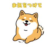 842973823