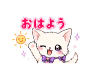 842973862