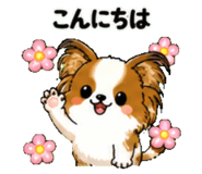 842974322