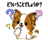 842974360