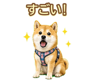 842974660
