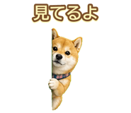 842974674