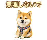 842974677
