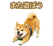 842974688