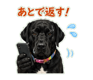 842974724