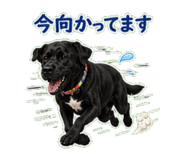 842974725