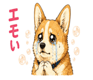 842974815