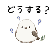 842975274