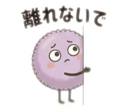 842975494