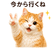 842976019