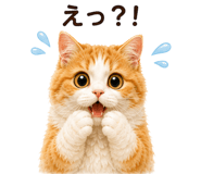 842976020