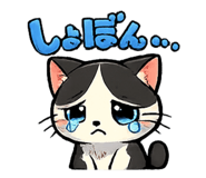 842976499