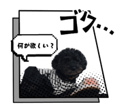 842976579