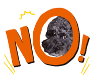 842976581