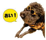 842976584