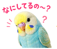 842976607