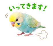 842976609