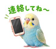 842976613