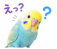 842976623