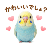 842976628