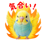 842976630
