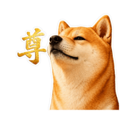 842976713