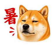 842976715