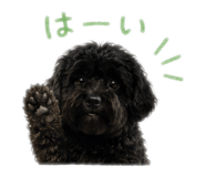 842976863