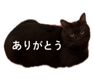 842977281